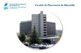 Faculté de Pharmacie de Marseille. 2 IMMEUBLE DE GRANDE HAUTEUR (I.G.H.) Type R de 1 ère catégorie – Surface 29 600 m²