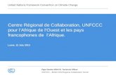 UNFCCC – BOAD CDM Regional Collaboration Center Pape Demba NDIAYE, Technical Officer Centre Régional de Collaboration, UNFCCC pour lAfrique de lOuest et.