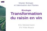 Transformation du raisin en vin Œnologie Transformation du raisin en vin Eric Meistermann IFV Pôle Alsace Master Biologie et Valorisation des Plantes.