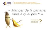 « Manger de la banane, mais à quel prix ? » 1ère Pionniers Lagny St Furcy – Lagny sur Marne 1ère Pionniers Groupe Louis Guibert - Bussy Saint-Georges POURQUOI.