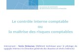 27/02/13 Intervenant : Sonia Delaunay (Référent technique pour le pilotage du contrôle interne à la Direction générale des douanes et droits indirects)