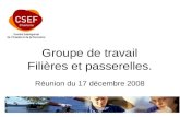 Groupe de travail Filières et passerelles. Réunion du 17 décembre 2008.