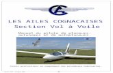 Michel LEBE – Novembre 2009 Page : 0 Manuel du pilote de planeurs-autonomes et de motoplaneurs. LES AILES COGNACAISES Section Vol à Voile Points particuliers.