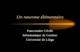 Un neurone élémentaire Fauconnier Cécile Informatique de Gestion Université de Liège.