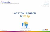 1 ACTION REGION OpFlip Action région – OpFlip- 18.10.12 © SynerCiel 2012 Services SynerCiel Offres Partenaires Offres SynerCiel Média Store.