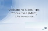 Utilisations à des Fins Productives (MUS) U ne introduction.