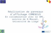Réalisation de panneaux daffichage COMENIUS En collaboration avec le SMI, service de B.Mouvet, Université de Liège.