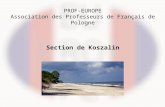 PROF-EUROPE Association des Professeurs de Français de Pologne Section de Koszalin.