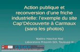 Action publique et reconversion dune friche industrielle: lexemple du site CapDécouverte à Carmaux (sans les photos) Nadine Haschar-Noé Laboratoire Prissmh-SOI,