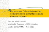 Comprendre lalimentation et les comportements alimentaires dans dautres cultures Pascale MOITY-MAIZI Montpellier Supagro, UMR Innovation Master 1 UM2/IAMM.