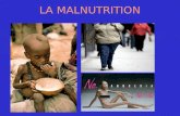 LA MALNUTRITION. La malnutrition La malnutrition désigne un état pathologique causé par la déficience ou l'excès dun ou plusieurs nutriments. L'apport.