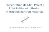Présentation de Mini-Projet : Effet Peltier et diffusion thermique dans un matériau Par Bérut Antoine et Lopes Cardozo David.