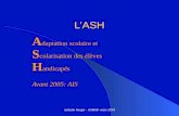Nathalie burget - ASH68- mars 2010 LASH A daptation scolaire et S colarisation des élèves H andicapés Avant 2005: AIS.