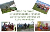 Bilan du projet « Palominopata » financé par le conseil général de Loire Atlantique.