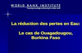 La réduction des pertes en Eau: Le cas de Ouagadougou, Burkina Faso.