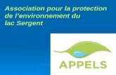 Association pour la protection de lenvironnement du lac Sergent