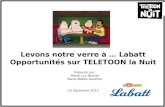 Levons notre verre à … Labatt Opportunités sur TELETOON la Nuit 10 Décembre 2012 Présenté par: Pierre-Luc Bernier Marie-Noëlle Gauthier.