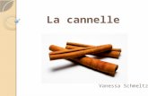 La cannelle Vanessa Schmeltz. Définition et histoire Production Composition Monographies Propriétés et usages - Alimentaire - Pharmaceutique - Cosmétique.