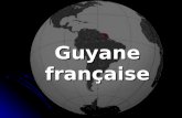 Guyane française. Situation géographique Capitale: Cayenne Population: 200 000 Langue officielle: français Groupe majoritaire: les créoles (60 %), soit.
