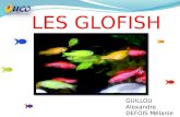 GUILLOU Alexandre DEFOIS Mélanie L2 2012-2013. Quest ce quun OGM ? La protéine GFP.
