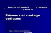 Réseaux et routage optiques François COLOMBIER Christophe PUGNOUD Exposé Réseaux couches basses 29/11/2004.