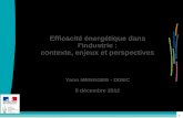 1 1 1 Efficacité énergétique dans l'industrie : contexte, enjeux et perspectives Yann MENAGER - DGEC 5 décembre 2012.