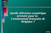 1 FTITAN03/05/2014 Quelle télévision numérique terrestre pour la Communauté française de Belgique ?