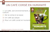 UN CAFÉ CORSÉ EN HUMANITÉ 1- Le café, son environnement, sa culture 2- De la cerise à la tasse 3- Un café qui pique 4- Pour un café corsé en humanité !