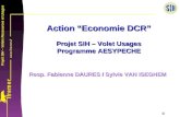 Projet SIH – Volets Ressources et Usages 1/ Action Economie DCR Projet SIH – Volet Usages Programme AESYPECHE Resp. Fabienne DAURES / Sylvie VAN ISEGHEM.