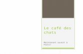 Le café des chats Maintenant ouvert à Paris!. Le café des chats Lisez larticle et soulignez les mots et/ou expressions que vous ne connaissez pas.