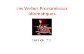 Les Verbes Pronominaux Idiomatiques 1442 Ch. 7.3.