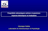 Giuseppe Rabita Laboratoire de Biomécanique et Physiologie Propriétés mécaniques actives et passives: Aspects théoriques et évaluation.