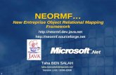 1 Taha BEN SALAH taha.bensalah@  Version 1.02 / 2006-2008 NEORMF New Entreprise Object Relational Mapping Framework.Net