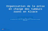 Organisation de la prise en charge des tumeurs rares en Alsace Réseau régional de Cancérologie ALSACE F.-D. Druart – S. Jaeggy – F. Lemanceau En collaboration.