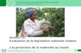 ORGANISATION INTERNATIONALE DU TRAVAIL Programme sur les conditions de travail et demploi (TRAVAIL) 2012 Module 12: Evaluation de la législation nationale.