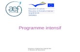 Erasmus Programme intensif 2010 Réunion de lancement Programme intensif.