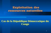 1 Exploitation des ressources naturelles Cas de la République Démocratique du Congo.