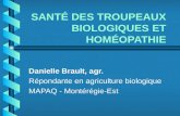 SANTÉ DES TROUPEAUX BIOLOGIQUES ET HOMÉOPATHIE Danielle Brault, agr. Répondante en agriculture biologique MAPAQ - Montérégie-Est.