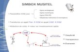 SIMBOX MUSITEL Passerelles GSM pour Transforme un appel Fixe GSM en appel GSM GSM Réduction de coûts retour sur investissement rapide - lignes analogiques.