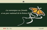 Les monarques au Canada et au parc national de la Pointe-Pelée.