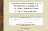 Données préliminaires sur la distribution du guépard (Acinonyx jubatus) dans le Sud Ouest algérien Melle FELLOUS Amina Agence Nationale pour la Conservation.