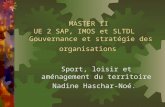 MASTER II UE 2 SAP, IMOS et SLTDL Gouvernance et stratégie des organisations Sport, loisir et aménagement du territoire Nadine Haschar-Noé.