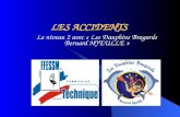 LES ACCIDENTS Le niveau 2 avec « Les Dauphins Bragards Bernard HYEULLE »