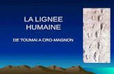 LA LIGNEE HUMAINE DE TOUMAI A CRO-MAGNON. SOMMAIRE Toumaï (Sahelanthropus tchadensis) Orrorin tugenensis Un monde d'Australopithèques Les premiers hommes.
