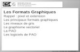 1 Multimédia & Internet 2èmes Gestion/Communication Les formats graphiques David Crunelle – ESCG 2009 - 2010 –  Les Formats Graphiques.