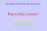 Raccolta Lavori: Les Animaux Cartes didentité Scuola Primaria di Variney.