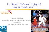 Pierre Tattevin Maladies Infectieuses et Réanimation Médicale CHU Pontchaillou, Rennes La fièvre (hémorragique) du samedi soir.