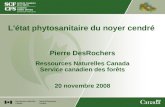 L'état phytosanitaire du noyer cendré Pierre DesRochers Ressources Naturelles Canada Service canadien des forêts 20 novembre 2008.