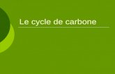 Le cycle de carbone. Le cycle du carbone Le Carbone est nécessaire pour tous les organismes. Nous en avons besoin pour notre structure osseuse.
