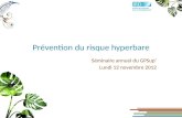 Prévention du risque hyperbare Séminaire annuel du GPSup Lundi 12 novembre 2012.